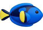 icon Dorry